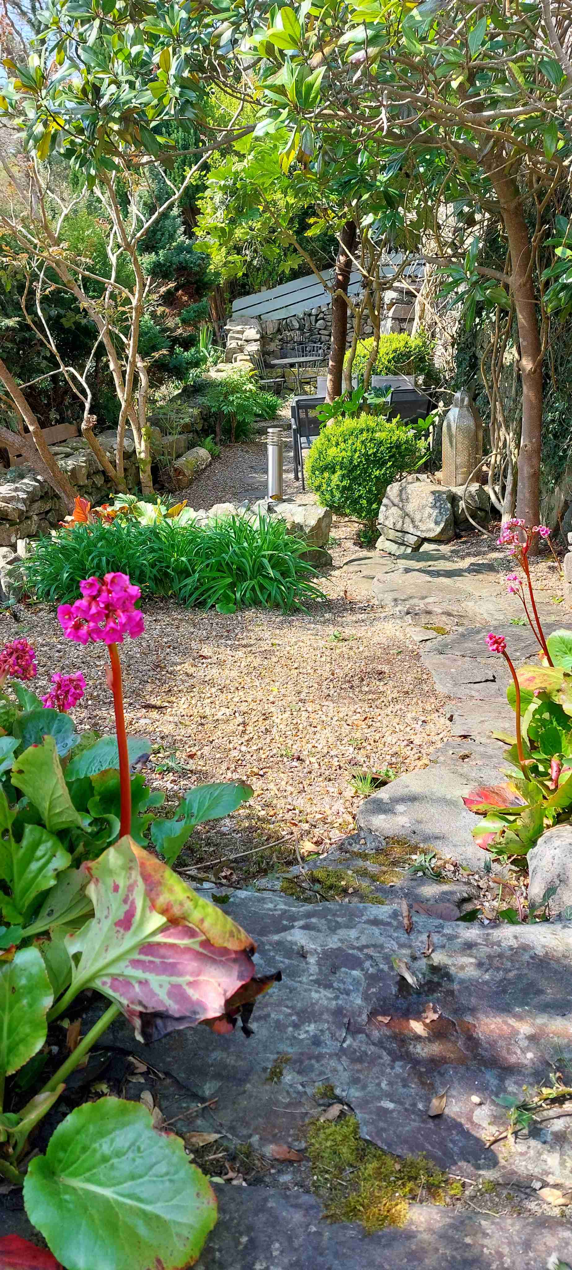 Spring flowers and gravel paths in the garden