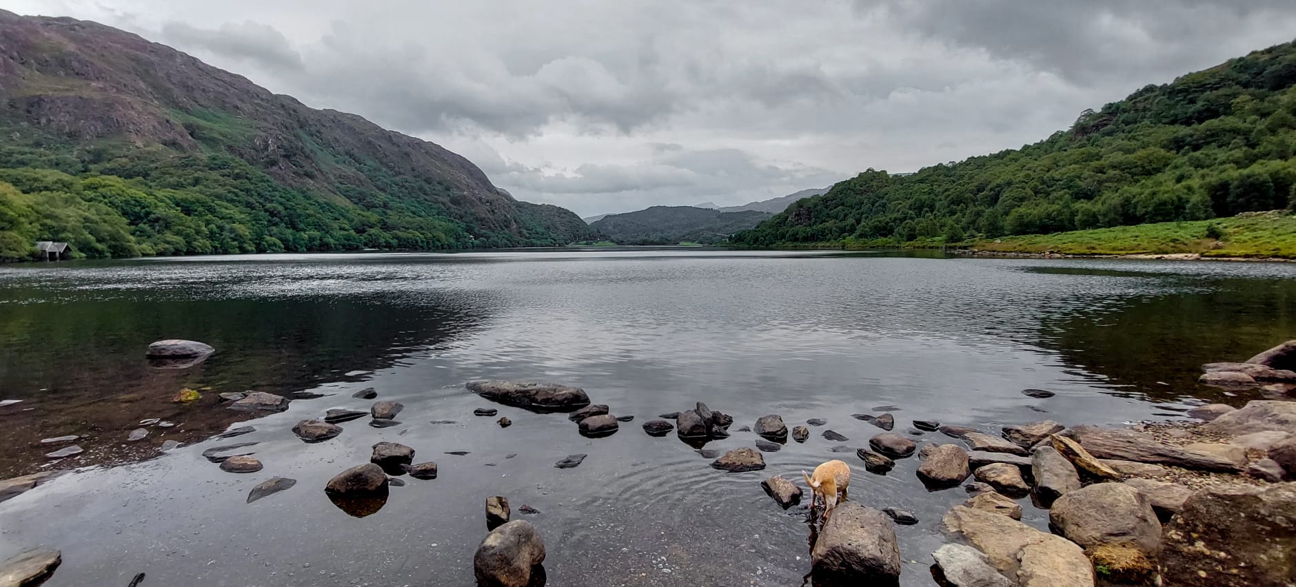 Llyn Dinas lake