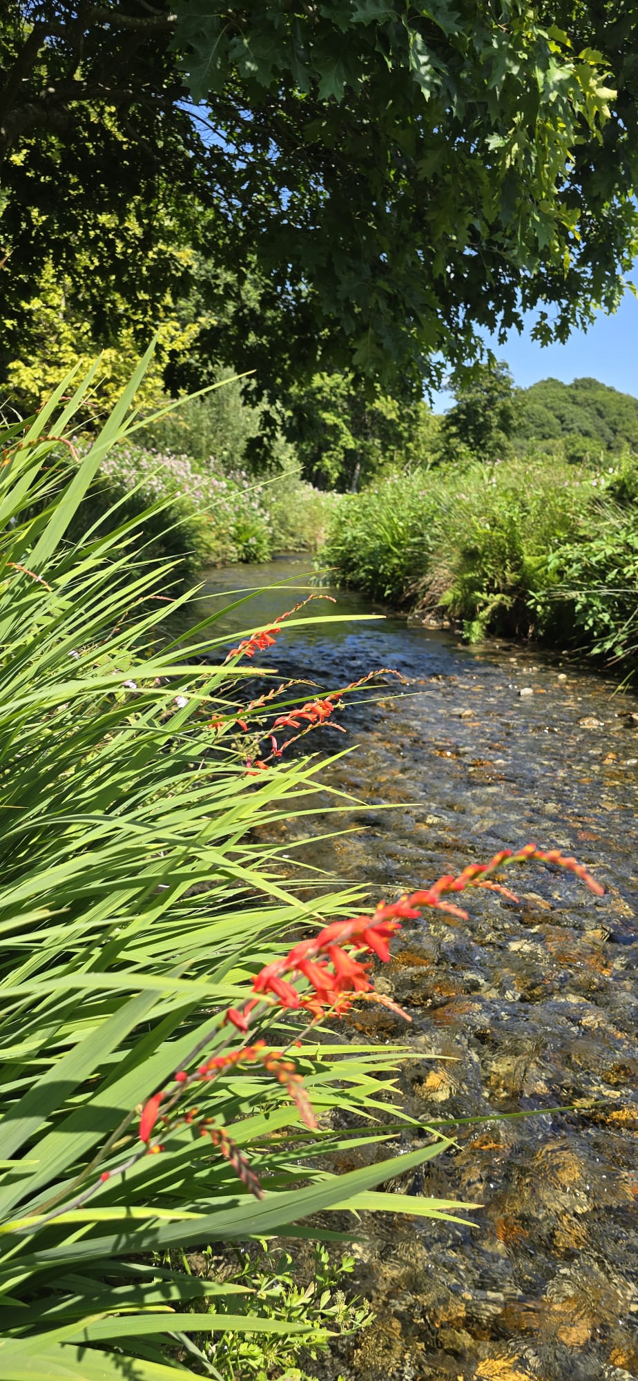 The River Artro beside the house
